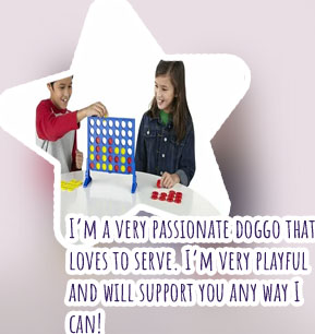Dog playing connect 4