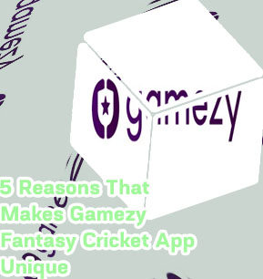 Gamezy fantasy app